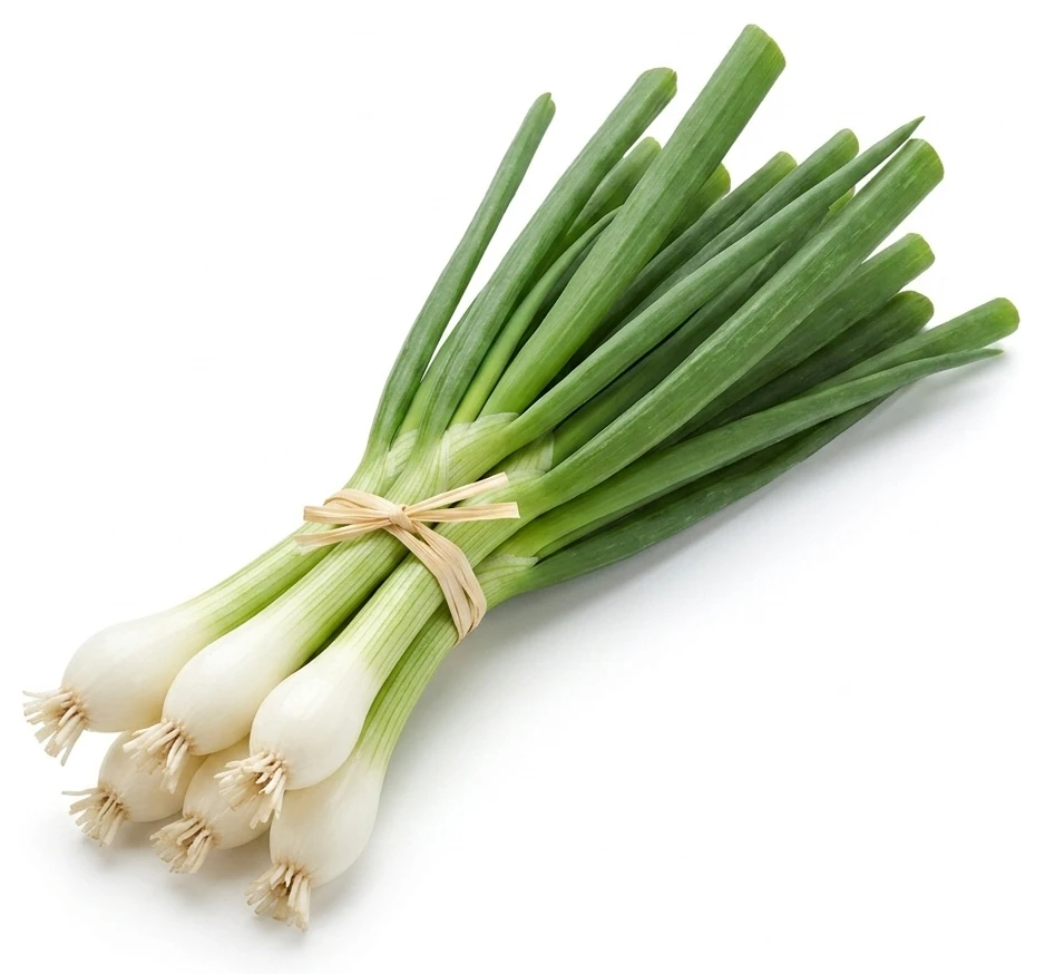 Cibuľka lahôdková zväzok