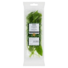 Bazalka 20 g