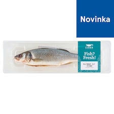 Fjord Bohemia Vlk morský celý pitvaný